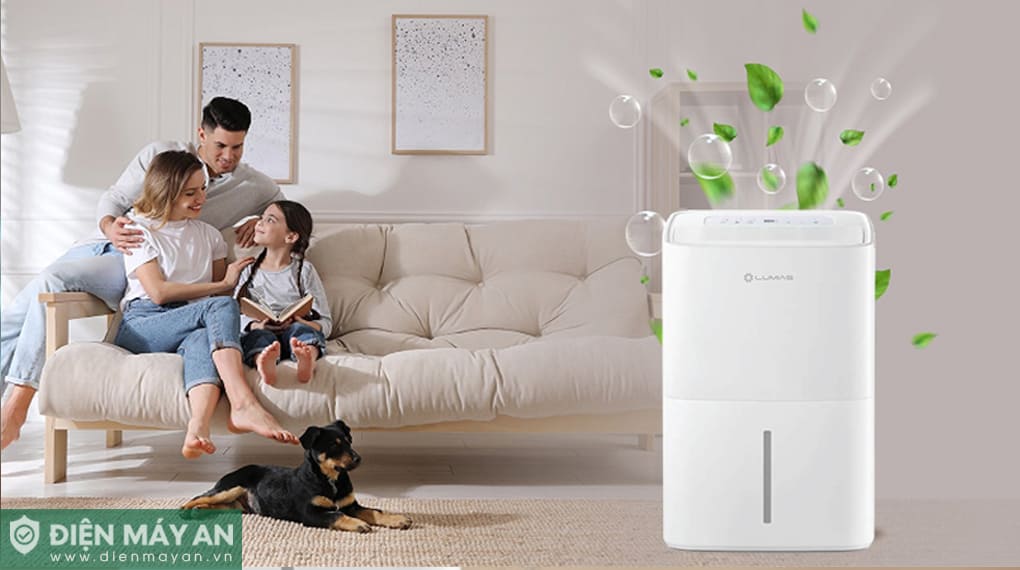 Máy hút ẩm Lumias D6S-60L - 160m2